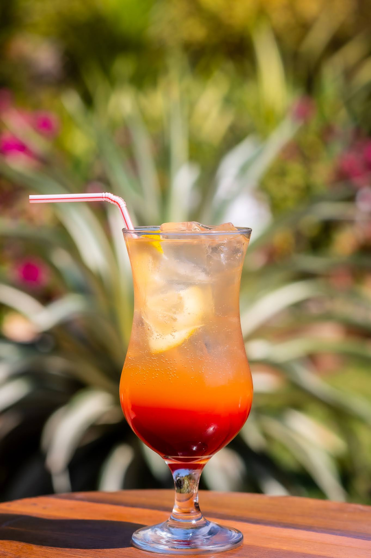 Tequila sunrise cocktail on a wooden table among the succulents