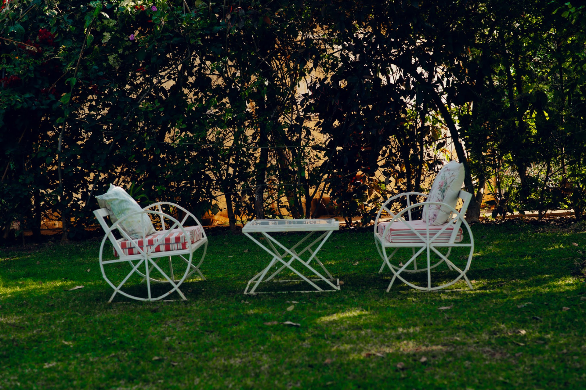 White garden chairs and a table on the shaded lawn at Kiwi Cafe