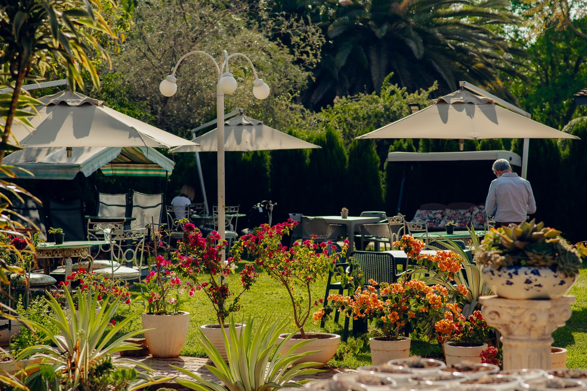 Shaded garden patio with umbrellas and flowering pots at Kiwi Cafe