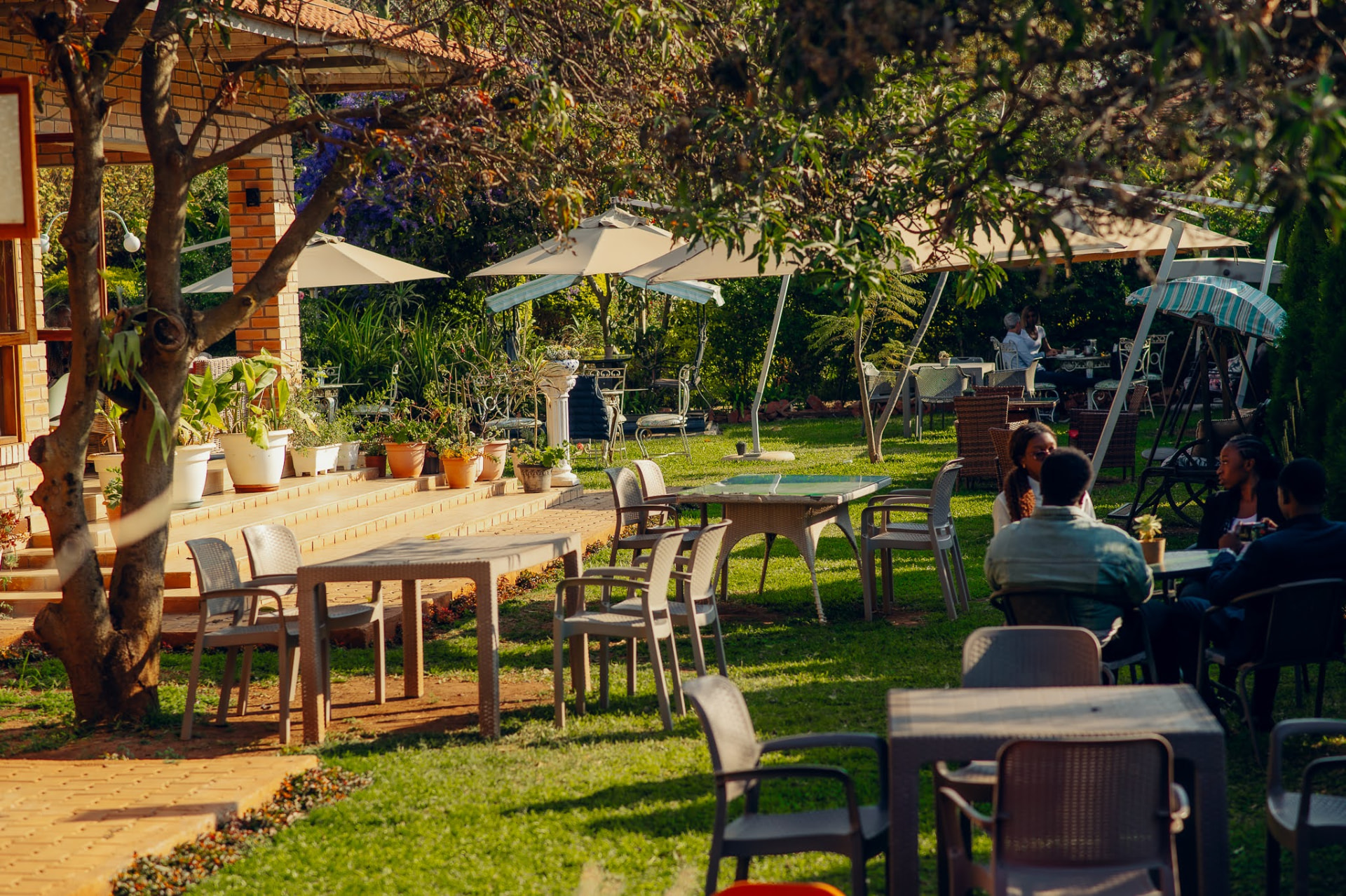 Guests relaxing on the garden lawn beside the terrace at Kiwi Cafe